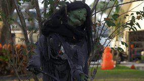 Spooky green-faced witch prop with long black hair and tattered gray robes stands among branches in a suburban yard. Halloween outdoor decoration in evening light creates a creepy, haunted atmosphere. - Powered by Shutterstock - Get 15% off with code: PIKWIZARD15