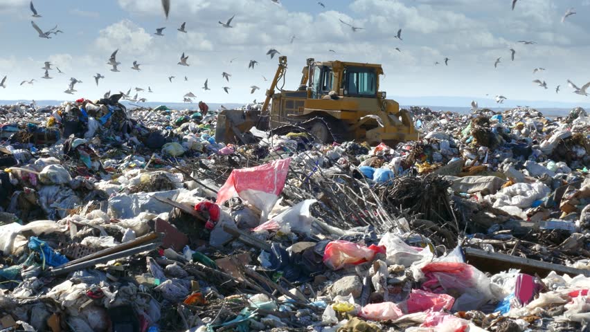 Garbage dump environmental pollution, earthmover bulldozer is working through massive piles of trash while many seagulls fly above. There are lots of plastic bags and bottles at landfill near the city