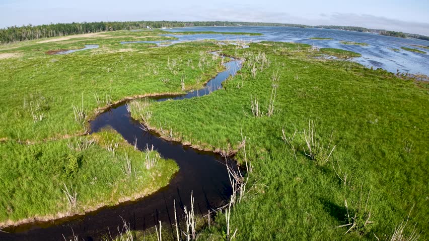 Aerial drone view of a winding river cutting through a lush green wetland in Michigan’s Upper Peninsula under a bright sky.