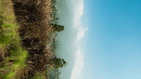 Vertical video - Timelapse of clouds rolling over a mountain peak on a sunny day - Powered by Shutterstock - Get 15% off with code: PIKWIZARD15