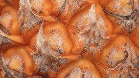 Extreme macro shot of a ripe pineapple's skin, showcasing its vibrant orange color and rough, geometric texture. A perfect abstract background of a tropical fruit peel. - Powered by Shutterstock - Get 15% off with code: PIKWIZARD15