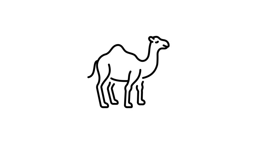 An outline style animated icon depicting camel