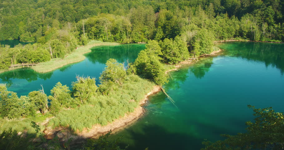 Lush green forest and turquoise water in Plitvice Lakes National Park Croatia