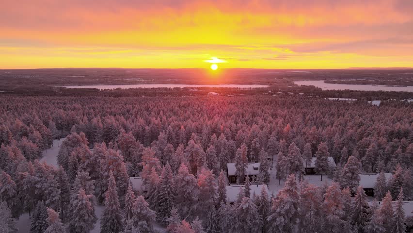 4K Drone Video Rising over Snowy Trees at Sunset in Lapland