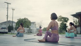 Women doing seated twist yoga outdoors on mats, enhancing spinal mobility, improving digestion, posture, inner calm and wellness under soft morning light. - Powered by Shutterstock - Get 15% off with code: PIKWIZARD15