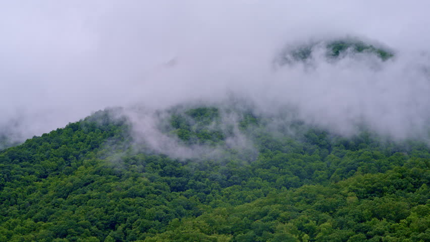 Cinematic flight across fog-hugged Smoky Mountain valleys.