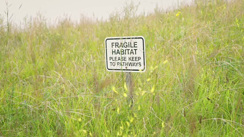Slow pan past conservation sign urging path use among tall grass, vegetation