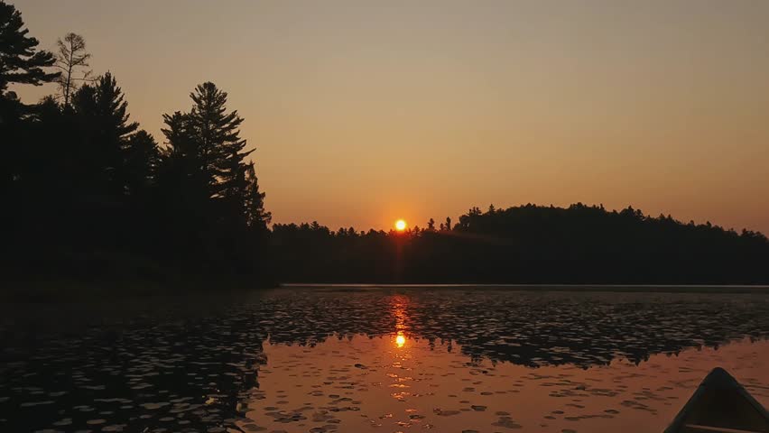 Golden-hour sunset over a still lake in Algonquin Park, Ontario, with lily pads floating in the foreground and pine trees silhouetted against the sky