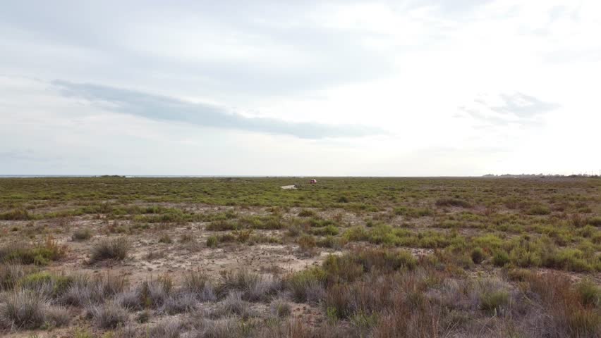 Green vegetation covers a wide salt marsh area under a cloudy sky