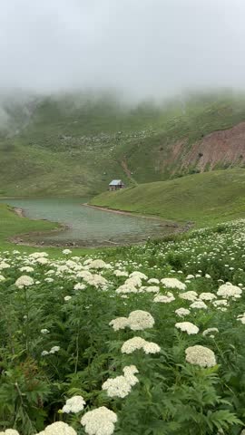 Mountain lakeshore house surrounded by greenery and flowers