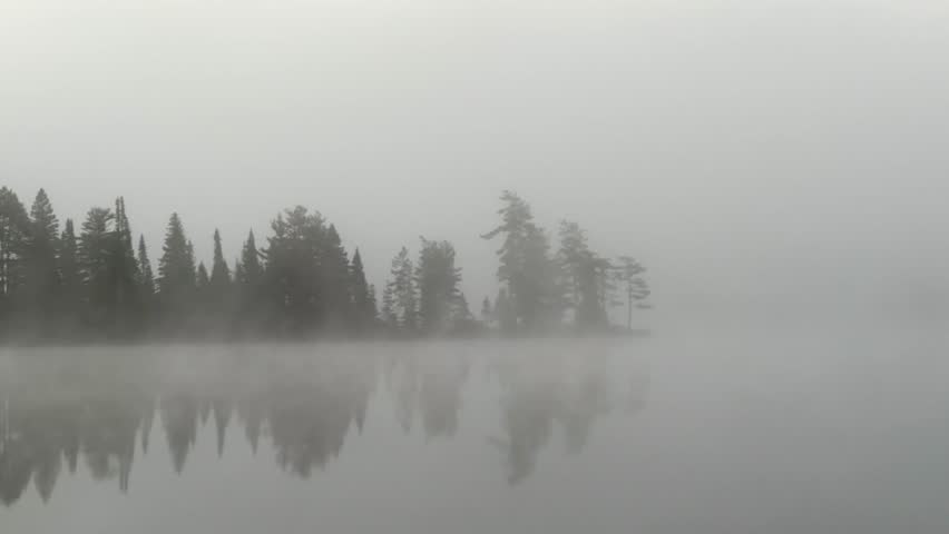 A misty lake in Algonquin Park, Ontario, reflects a pine treeline under a foggy sky, creating a surreal and hauntingly beautiful wilderness scene