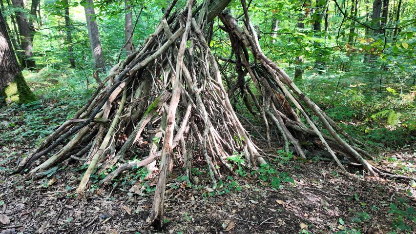 Rustic handmade shelter made of sticks and branches in a green forest
