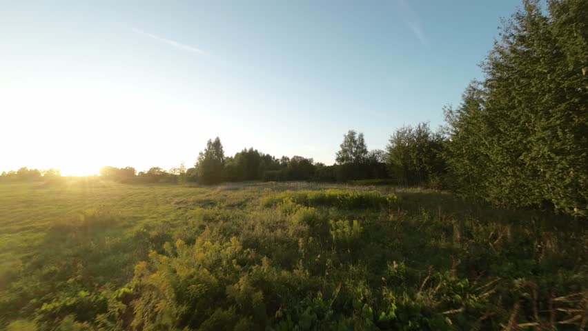 Evening light over the field and the tree line captured from above