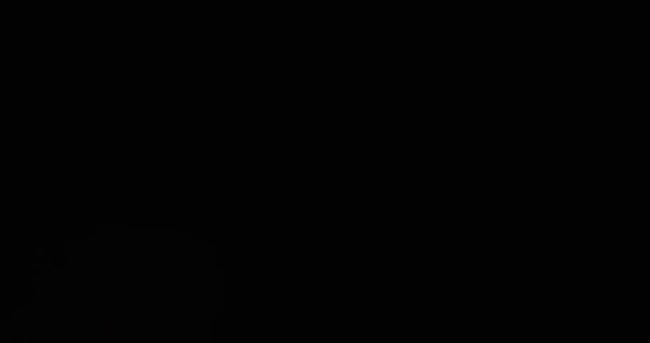 Shutterstock Video