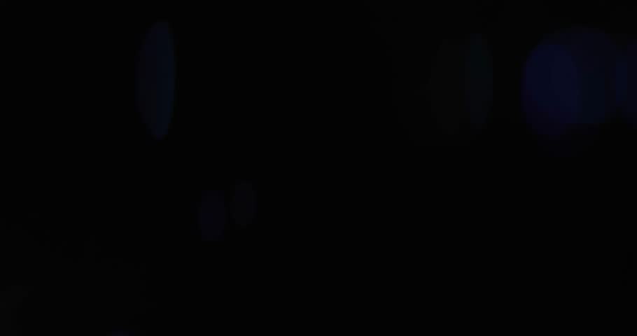Shutterstock Video