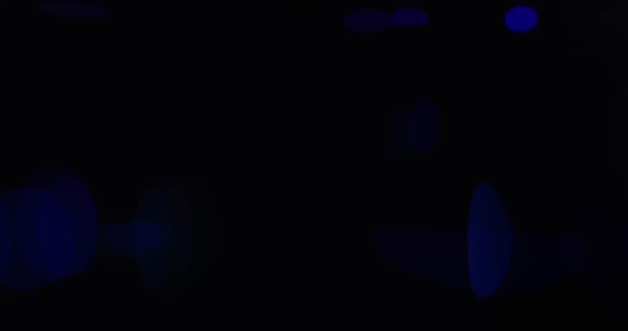 Shutterstock Video