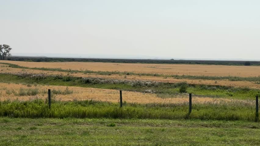 Point of view driving past wide farm fields with crops, barns, and rural scenery under a bright autumn sky in the Canadian prairies