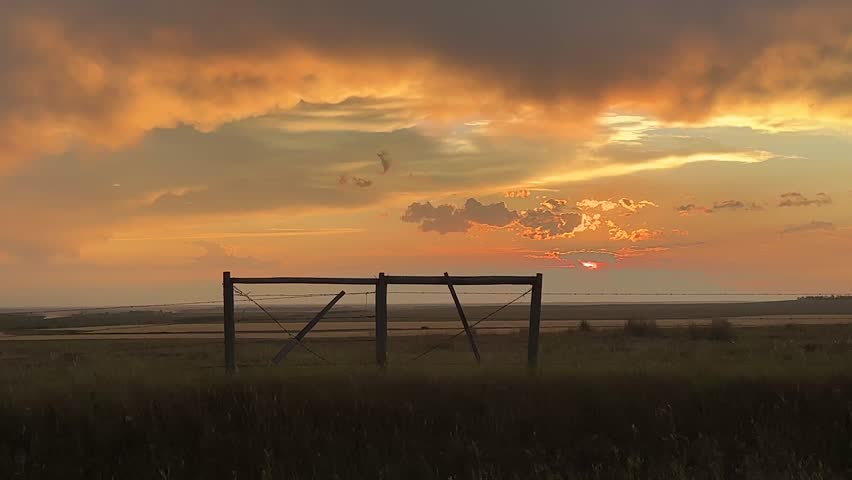 Agricultural field at sunset with glowing sky, dramatic clouds, and wide prairie view, highlighting rural life, scenic beauty, and open countryside atmosphere in Alberta, Canada.