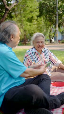 Senior asian man and woman couple of best friend enjoy a delightful picnic under the trees, sipping orange juice and sharing laughter in a park, creating lasting memories together, talk and relax