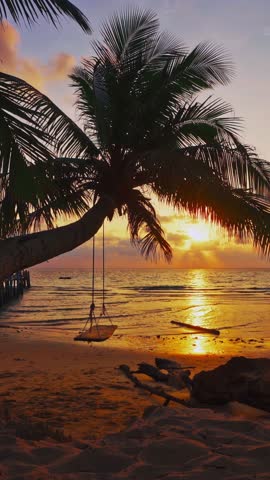Tropical beach with scenery palm tree above ocean at colorful sunset. Summer vacation in tropical paradise concept 4K Vertical video