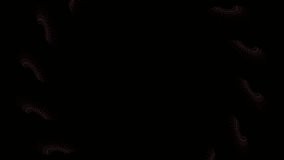 Colorful Neon Kaleidoscope Spiral Animation, Psychedelic Trippy Visuals, Hypnotic VJ Loop Background - Powered by Shutterstock - Get 15% off with code: PIKWIZARD15