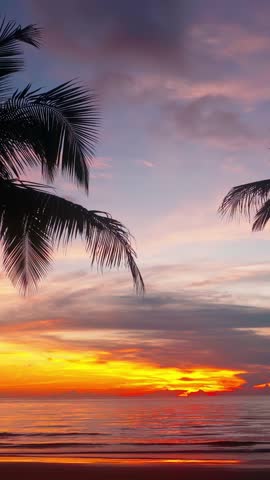 Tropical beach with scenery palm tree above ocean at colorful sunset. Summer vacation in tropical paradise concept 4K Vertical video
