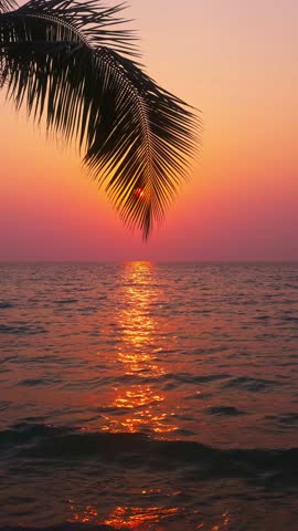 Tropical beach with scenery palm tree above ocean at colorful sunset. Summer vacation in tropical paradise concept 4K Vertical video