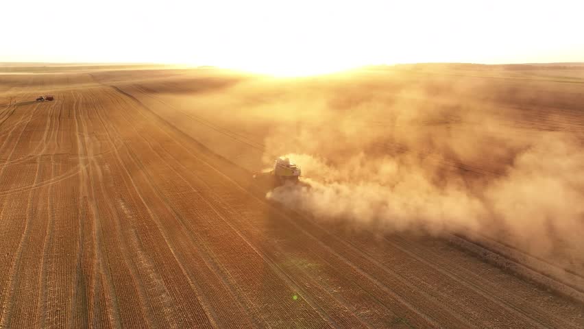 Aerial of Industrial harvesting of wheat fields by Combine Harvester in Ukraine on a sunset
