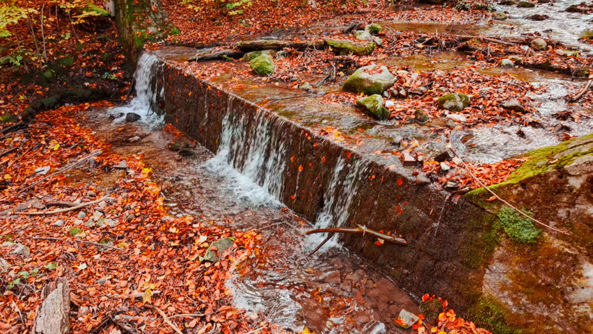 Tapestry of orange leaves in an autumn forest with a waterfall, showing a gentle cascade, leaf strewn banks, and fine mist softening the woodland backdrop