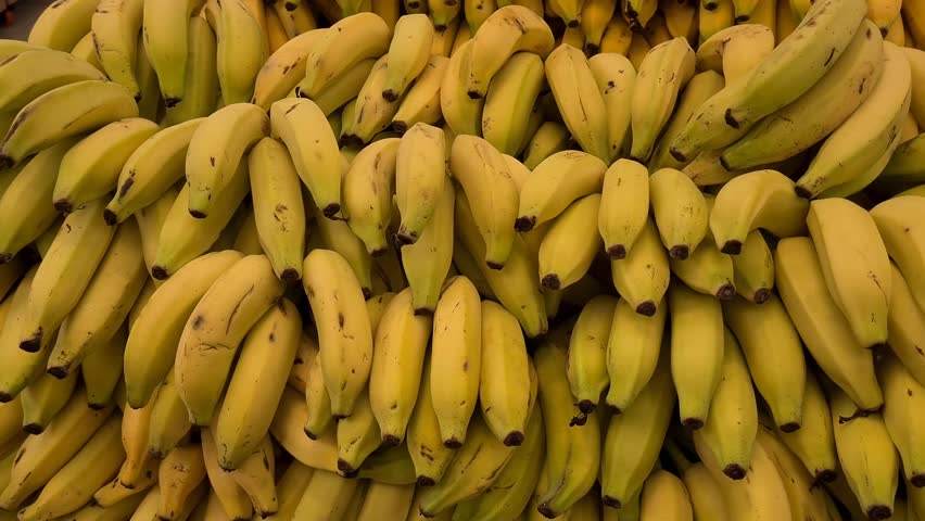 Bunches of bananas at the market
