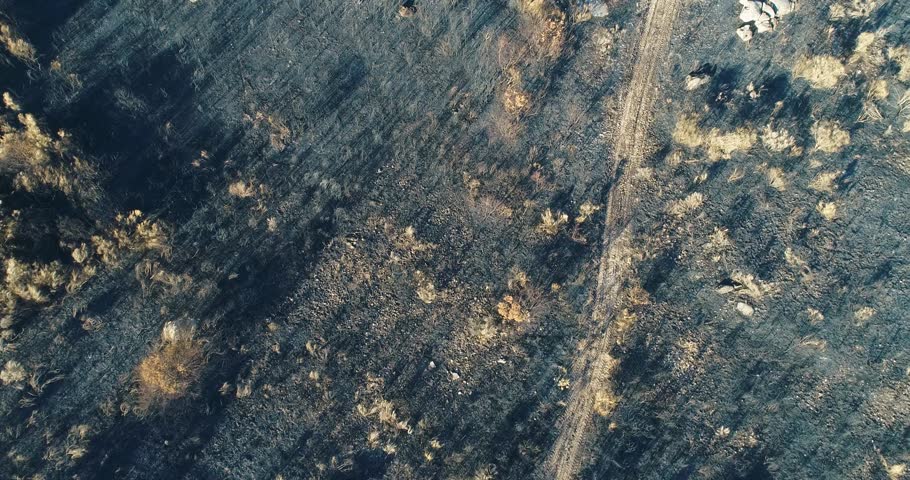 A top down aerial video of the texture of a burnt and scorched earth The Abstract Beauty of Destruction