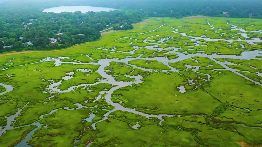 Scenic drone flyover of tidal marshes, highlighting a vibrant wetland ecosystem with tidal channels, green grasses, and water inlets spreading across the coastal landscape.