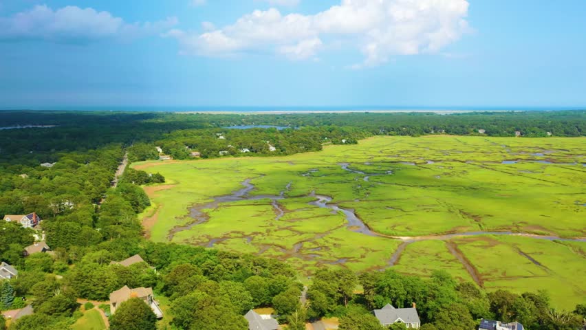 Aerial flyover of tidal marshes, showcasing creeks, mudflats, and lush grasses, forming a dynamic natural mosaic across the summer shoreline.