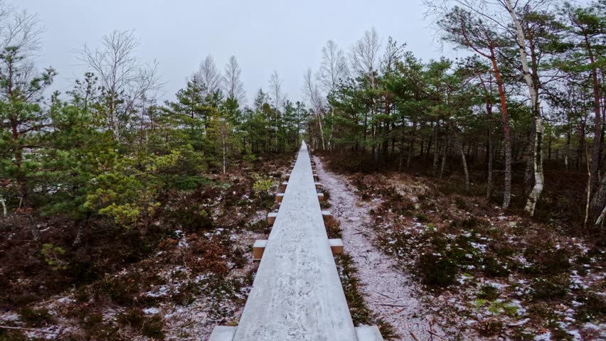 First person view of Cenas Tīrelis boardwalk stretching through bog landscape
