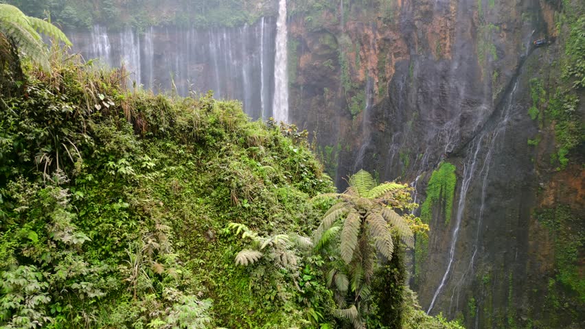 Aerial view of majestic Tumpak Sewu waterfall cascading into deep jungle canyon surrounded by lush rainforest in East Java, Indonesia.
