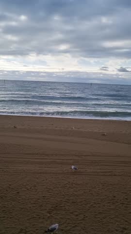 Sea view of Barcelona,blue cloudy sky,colour of water,sandy beach,birds,Barcelona Spain,Mobile video,outdoor video,