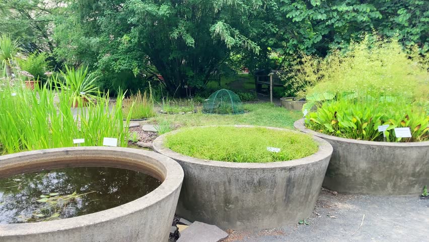 Botanic Garden in Leipzig, different plants outdoor view