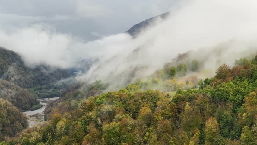 a cloud is forming over a forest on a mountain