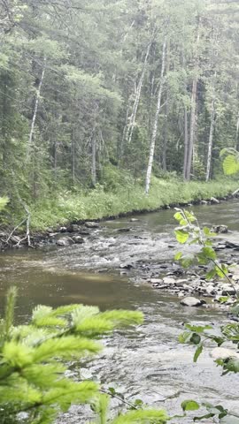 top view of a mountain river in the forest