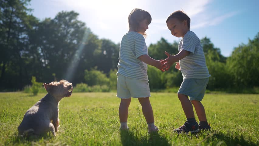 Two young children holding hands in grassy field. Boy and a girl are playing with a dog. A young girl and her friend are playing in the grass outside in summer with sunlight. Two little lifestyle.