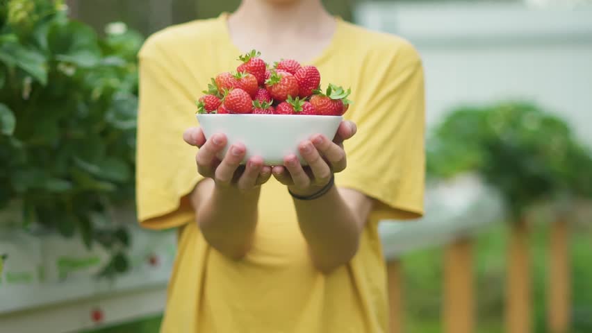 Child baby toddler boy teenager holding bowl of fresh strawberries. Close up portrait with healthy food full of vitamins. Natural harvest, gardening and healthy eating lifestyle outdoors.
