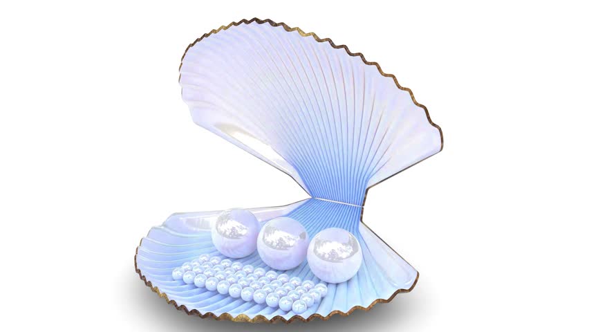 sea shell with pearls. 3d and computer rendering animation video with 4k resolution.