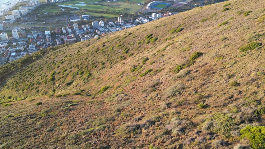 Cinematic drone aerial view of Cape Town Stadium with the ocean and port in the background. The Atlantic Seaboard coastline and surrounding city landscape in Cape Town, South Africa