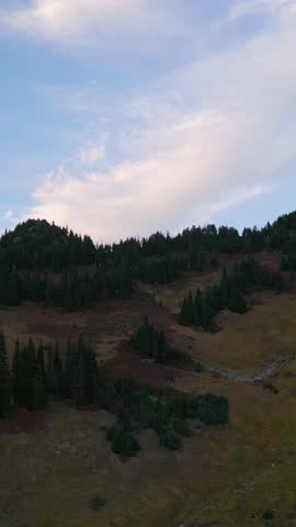 Majestic Mountain Forest in British Columbia Under a Serene Autumn Sky