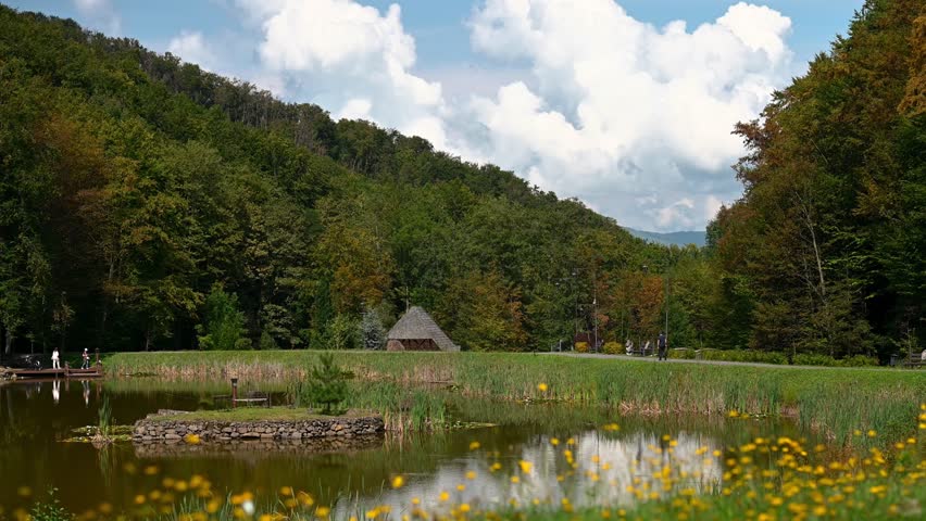 Scenic landscape in the Carpathian Mountains, Voievodyno eco-resort. Pond with reeds and flowers, wooden gazebo, and forested hills in the background. Summer mountain vacation.