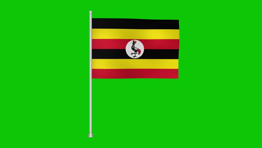 a captivating view showcasing the ugandan national ensign gracefully waving against a chroma key green screen. it is a symbol of national pride and cultural identity, perfect for various purposes.