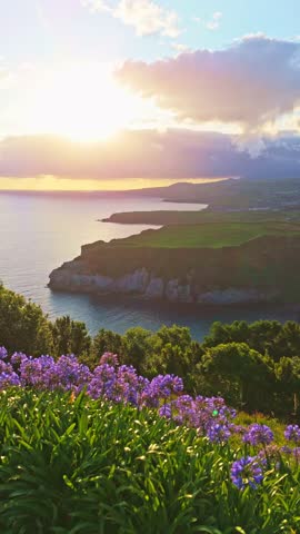 Cape Furado, Cliffs, Green Hills, Flowers and Atlantic Ocean at Sunrise. Azores, Sao Miguel Island. Portugal. View from Miradouro de Santa Iria. Aerial View. Drone Moves Sideways. Vertical Video