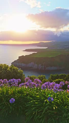 Cape Furado, Cliffs, Green Hills, Flowers and Atlantic Ocean at Sunrise. Azores, Sao Miguel Island. Portugal. View from Miradouro de Santa Iria. Aerial View. Drone Moves Sideways. Vertical Video