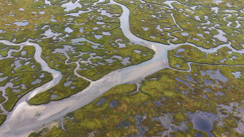 Sinuous channels meander through a scenic salt marsh on Cape Cod, Massachusetts. Salt marshes act as natural carbon sinks, are sheltered nurseries for wildlife, and buffer against storms and waves.