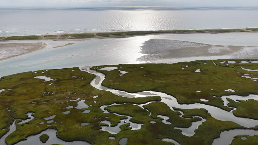 Sinuous channels meander through a scenic salt marsh on Cape Cod, Massachusetts. Salt marshes act as natural carbon sinks, are sheltered nurseries for wildlife, and buffer against storms and waves.